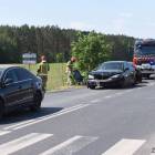zdjęcie nr 12