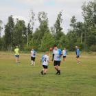 Fotka nr 5 z 22