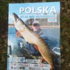 zdjęcie nr 32