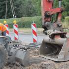 Fotka nr 4 z 24