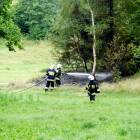 Fotka nr 2 z 17