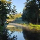 Poranek nad rzeką - Król M