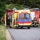 Fotka nr 2 z 5
