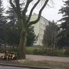 Fotka nr 4 z 8