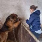 zdjęcie nr 18