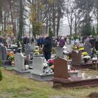zdjęcie nr 10