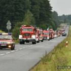 Fotka nr 1 z 12