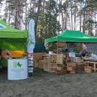 zdjęcie nr 18