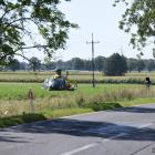 Fotka nr 1 z 11