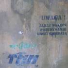 Fotka nr 3 z 8