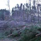 zdjęcie nr 16