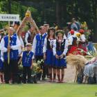 zdjęcie nr 133
