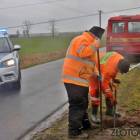 zdjęcie nr 15