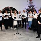 zdjęcie nr 20