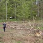 zdjęcie nr 10