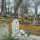 zdjęcie nr 15