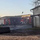 Fotka nr 2 z 15