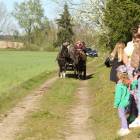zdjęcie nr 44