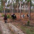 zdjęcie nr 26