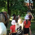 zdjęcie nr 78
