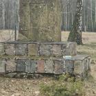 zdjęcie nr 8