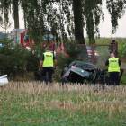 zdjęcie nr 9