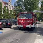 zdjęcie nr 16