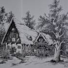 zdjęcie nr 12