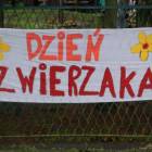Fotka nr 3 z 43