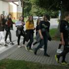 Fotka nr 5 z 7