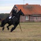 zdjęcie nr 97