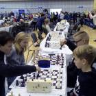 Fotka nr 2 z 7