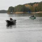 Fotka nr 4 z 39
