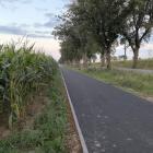 zdjęcie nr 17