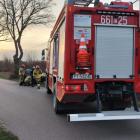Fotka nr 2 z 4