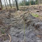 Fotka nr 4 z 10