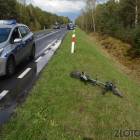 Fotka nr 1 z 2
