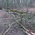 zdjęcie nr 33
