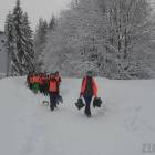 zdjęcie nr 7