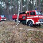 Fotka nr 5 z 6