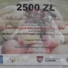 zdjęcie nr 9