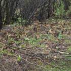 Fotka nr 1 z 10