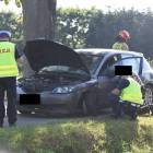 zdjęcie nr 8