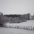zdjęcie nr 48