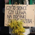 zdjęcie nr 23