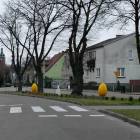 zdjęcie nr 11