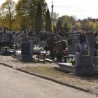 zdjęcie nr 19