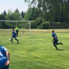 Fotka nr 2 z 17