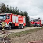 Fotka nr 5 z 8