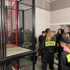 Fotka nr 1 z 12